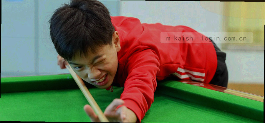五个并列的纵向色条，高度各不相同以表示条目数量差异，条与条之间以细线分隔